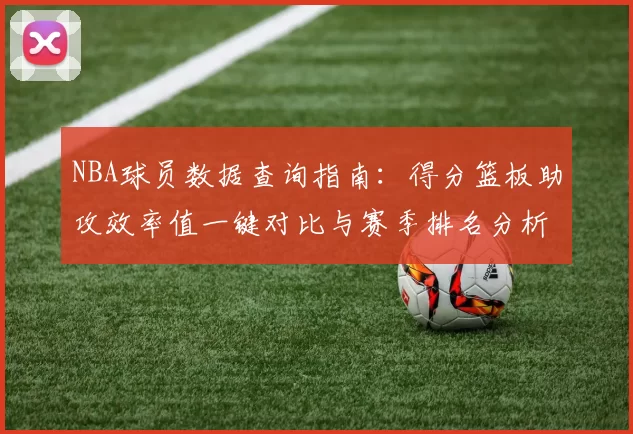 NBA球员数据查询指南：得分篮板助攻效率值一键对比与赛季排名分析