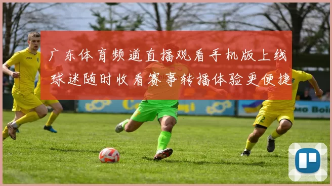 广东体育频道直播观看手机版上线 球迷随时收看赛事转播体验更便捷