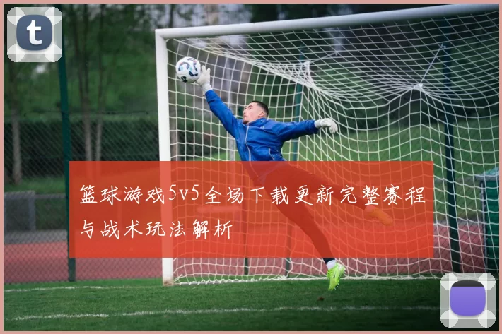 篮球游戏5v5全场下载更新完整赛程与战术玩法解析