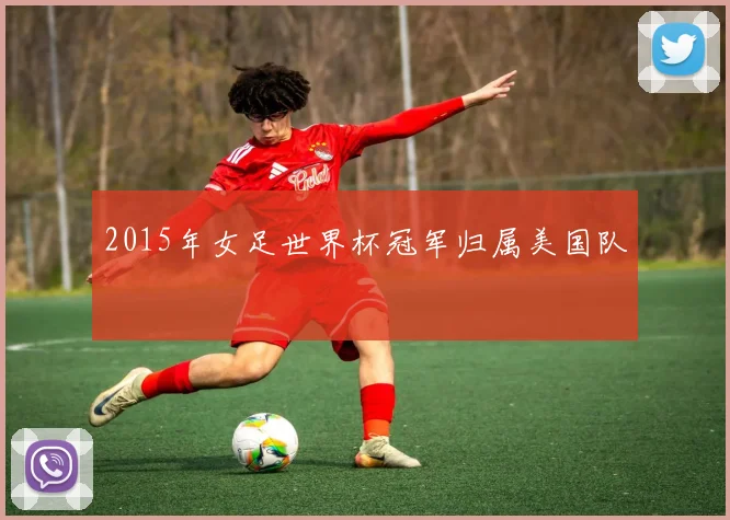 2015年女足世界杯冠军归属美国队