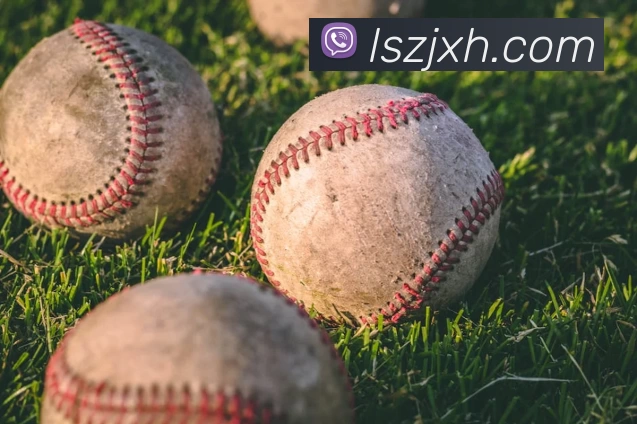 九游9官网入口服务体系